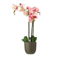 Orchidee kunstplant roze - 75 cm - inclusief bloempot olijfgroen mat - thumbnail