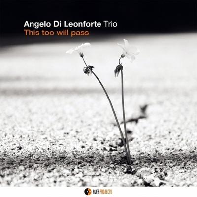 This Too Will Pass - CD (8032050020167)