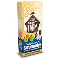 Supreme Gerty Scrummies Apple Strawberry Baked Bites for Guinea Pig 4.2 oz