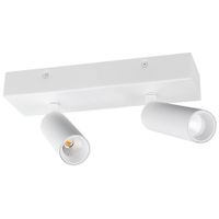 BC0022 LED-opbouwspot Koker 2x10W 2700K Dimbaar Wit