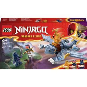 LEGO® NINJAGO 71810 Riyu de babydraak