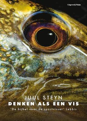 Denken als een vis - Juul Steyn - ebook