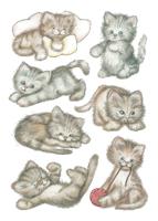 HERMA Decorative label DECOR sweet cat 3 sheets sticker