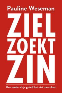 Ziel zoekt zin - Pauline Weseman - ebook