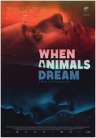 When Animals Dream - DVD (9789461873699)