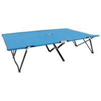 vidaXL Ligbed 2-persoons inklapbaar staal blauw