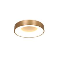 Steinhauer Led plafondlamp Ringlede Ø 30cm 3086GO