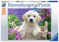 Ravensburger Schattige Golden Retriever