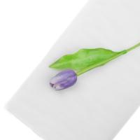 Wit tule voor backdrops 1,5 x 10m