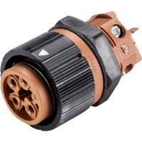 Wieland Electric 46.051.5050.4 Ronde connector Bus, inbouw Totaal aantal polen: 5 Serie (ronde connectoren): RST® MINI 1 stuk(s)