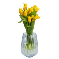 Bloemenvaas Amar - helder transparant glas - D25 x H29 cm - decoratieve vaas - bloemen/takken