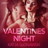 Valentine's Night - Erotic Short Story - thumbnail