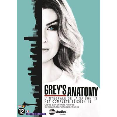 Grey's Anatomy - Seizoen 13 (DVD)