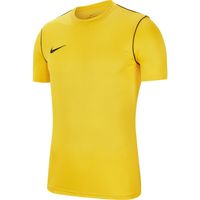 Nike Dry Park 20 Voetbalshirt SS Kids Geel