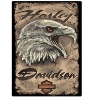 Harley-Davidson Eagle 2 Metalen Bord Met Reliëf - thumbnail