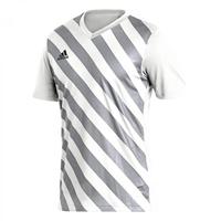 adidas Heren Entrada 22 Graphic Jersey, White/Team Light Grey, S