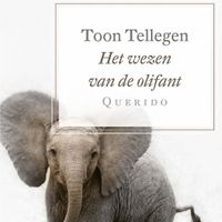 Het wezen van de olifant