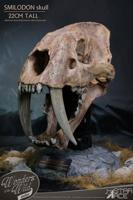 Wonders of the Wild Series Statue Smilodon Skull Fossil 22 cm - thumbnail