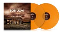 Many Faces Of Bon Jovi - LP (7798093713152)