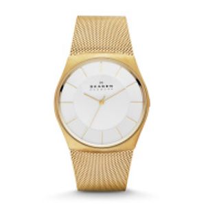 Horlogeband Skagen SKW6069 Staal Doublé 28mm