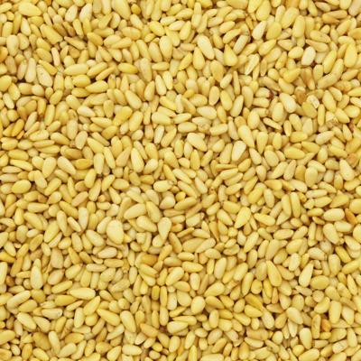 Pijnboompitten (bio) 150 gram