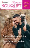 Avontuurlijke ontmoeting / Oude liefde, nieuwe kans - Nina Harrington, Cara Colter - ebook - thumbnail