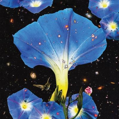 Nighttime Birds And Morning Stars - LP (0790377048315)