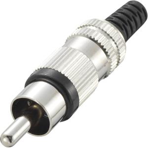 TRU COMPONENTS 719282 Cinch-connector Stekker, recht Aantal polen: 2 Zwart 1 stuk(s)