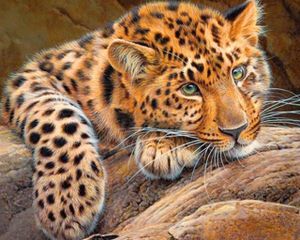 Diamond Painting Canvas Luipaard - 30 x 40 cm