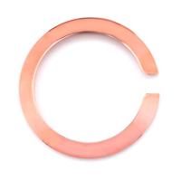 Reserveonderdelen Glam Rock horloges (44 mm)