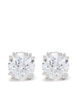 Swarovski puces d'oreilles Stilla - Blanc