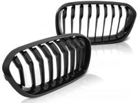 Tuning-Tec Grill BMW F20 F21 LCI 15-18 GLANZEND ZWART
