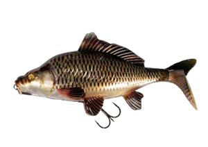 Fox Rage Replicant Carp 18cm Super Natural Common Carp