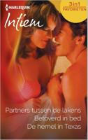 Partners tussen de lakens ; Betoverd in bed ; De hemel in Texas - Jane Sullivan, Jule McBride, Wendy Etherington - eBook (9789402508123)