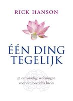 Een ding tegelijk - Rick Hanson - ebook