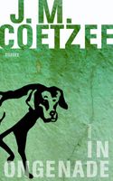 In ongenade - J.M. Coetzee - ebook