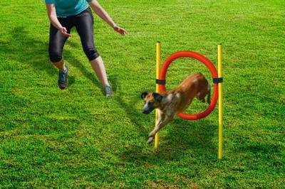 Beeztees agility hoepel set - hondenspeelgoed - dia. 60 cm