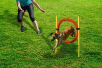 Beeztees agility hoepel set - hondenspeelgoed - dia. 60 cm
