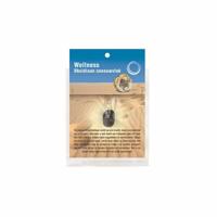 Gezondheids Hanger Obsidiaan Sneeuwvlok