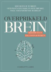 Overprikkeld brein (Paperback)