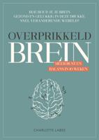 Overprikkeld brein (Paperback)