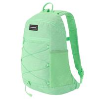 Dakine rugzak Wndr Pack 18L mintgroen