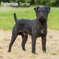 Patterdale Terrier Calendar 2026 Square Dog Breed Wall Calendar - 16 Month