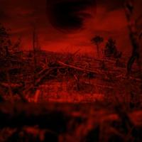 Bitteroogst - CD (3481575337239)