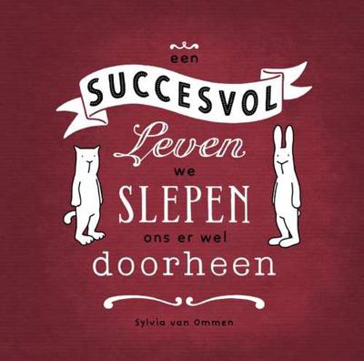 Een succesvol leven, we slepen ons er wel doorheen - Sylvia van Ommen - Hardcover (9789089672551)