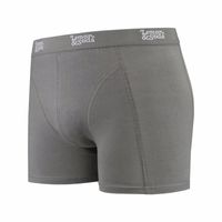 Grijze boxershort Lemon and Soda