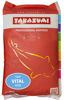 Microsoft SQL Server 2000 Standard Edition Japanese Patch MVL CD Service Pack 2 Microsoft SQL Server 2000 Standard Edition Japanese Patch MVL CD Service Pack 2