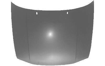 Motorkap Golf 5880660