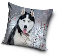 Honden Husky sierkussen 40X40 cm - thumbnail