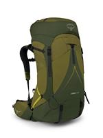 Osprey Europe Osprey Atmos AG LT 65 Heren Backpacken Rugzak Scenic Valley/Groene Peppercorn L/XL, Groen, L-XL, Casual